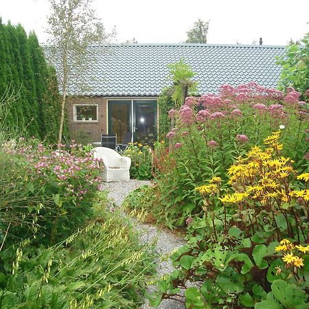 Roing B&B Hijken Extérieur photo