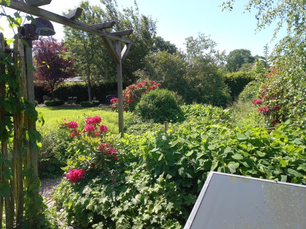 Roing B&B Hijken Extérieur photo