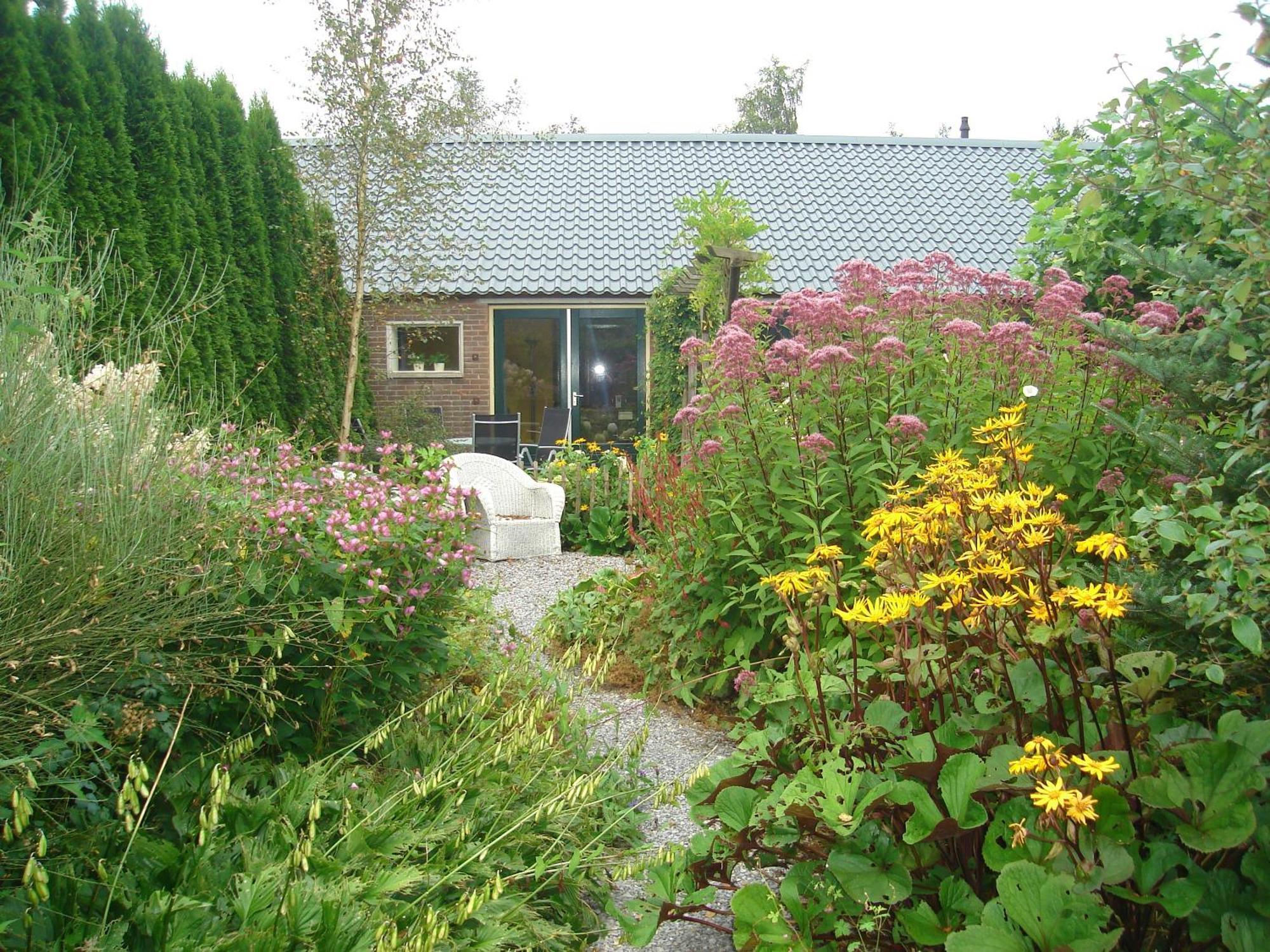 Roing B&B Hijken Extérieur photo