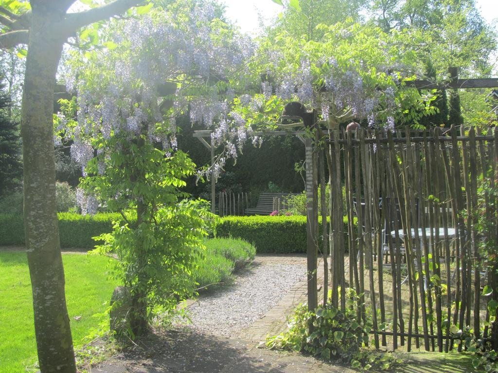 Roing B&B Hijken Extérieur photo